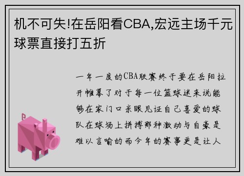 机不可失!在岳阳看CBA,宏远主场千元球票直接打五折